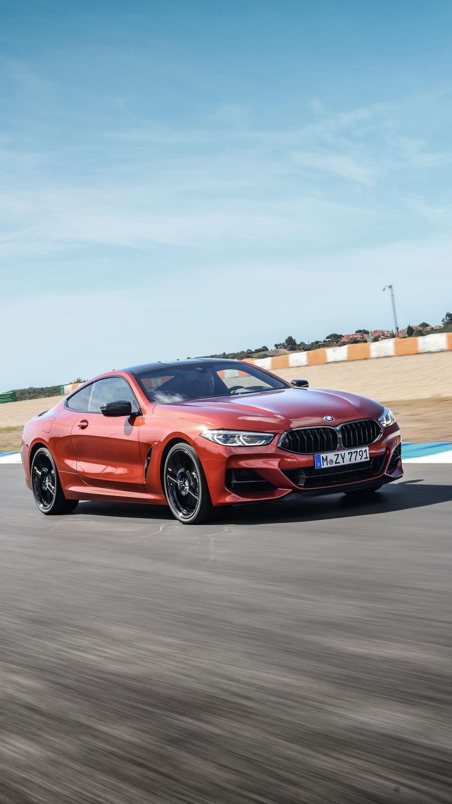  BMW M850i xDrive Carbon Package (G15) 2018 года  (WW) (фото 119 из 287)